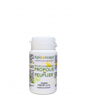 Poplar Propolis Capsules