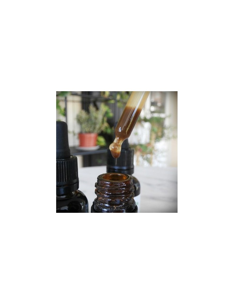 Extrait de Propolis Verte de Brésil, 33%