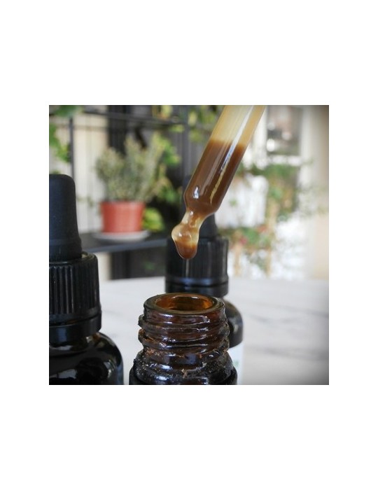 Extrait de Propolis Verte de Brésil, 33%