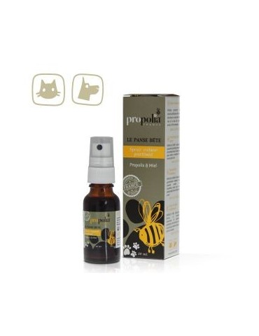  Spray cutané pour chiens et chats