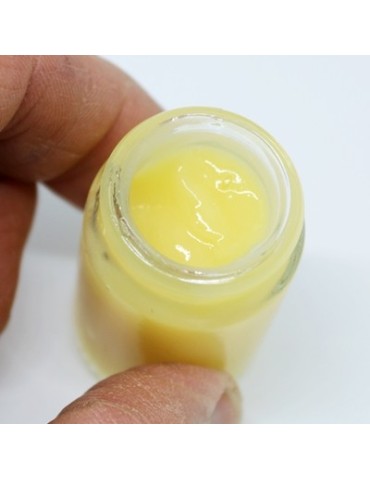 Gelée royale BIO fraîche, 25g 2