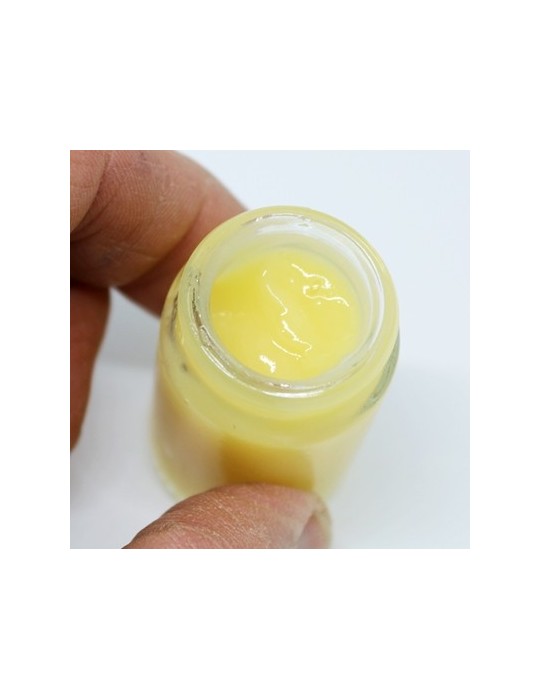 Gelée royale BIO fraîche, 25g