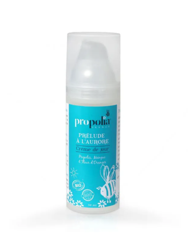 Organic Day Cream - Normal Skin 2