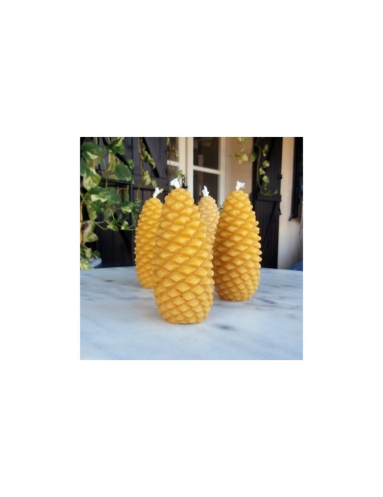 Pine Cone Beeswax Candle