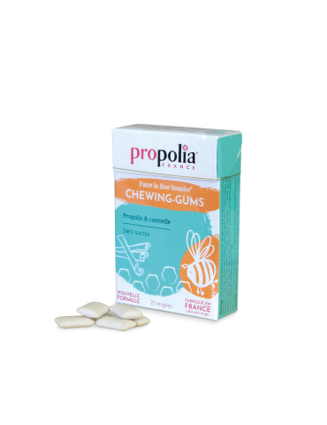 Chewing Gum, Propolis et Cannelle 2