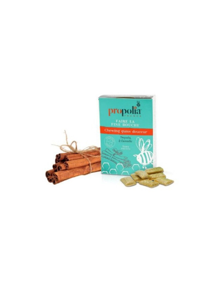 Chewing Gum, Propolis et Cannelle