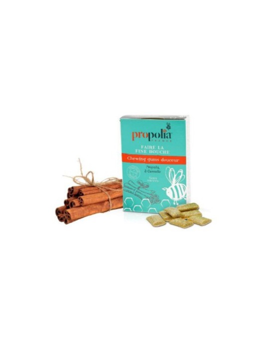 Chewing Gum, Propolis et Cannelle