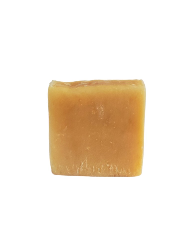 Shampooing Bio pour Chiens et Chevaux au Miel